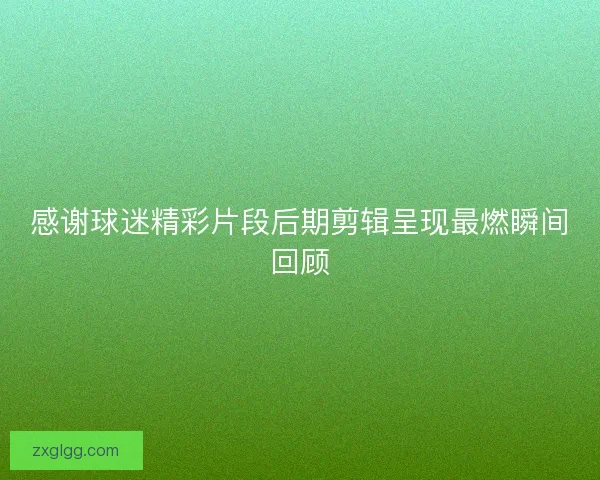 感谢球迷精彩片段后期剪辑呈现最燃瞬间回顾